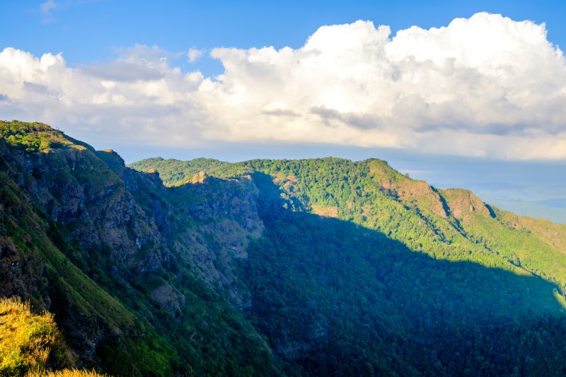 View from Blue Mountains