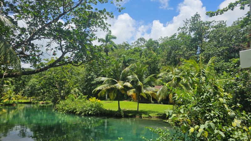 Garden at Frenchman's Cove