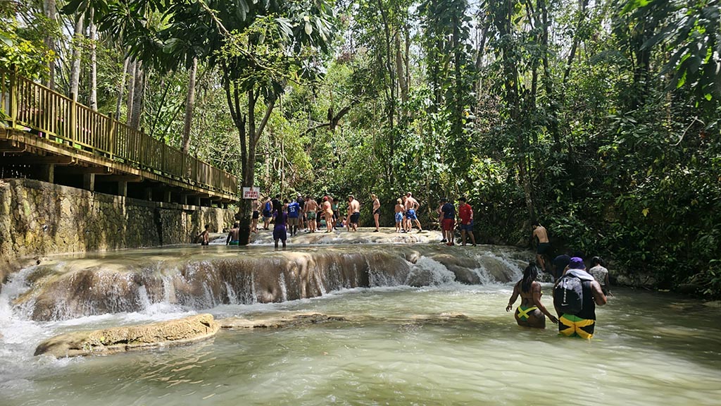 Jamaican river scene with trees and tourists in water